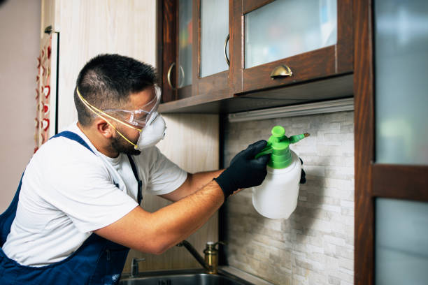 Best Rat Extermination Near Me  in Starke, FL