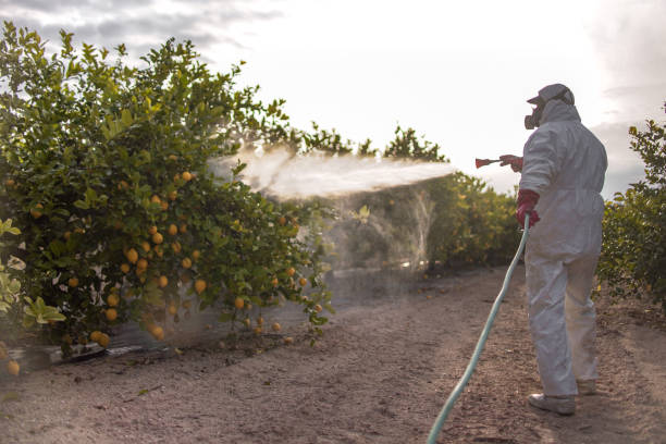 Best Spider Control Near Me  in Starke, FL