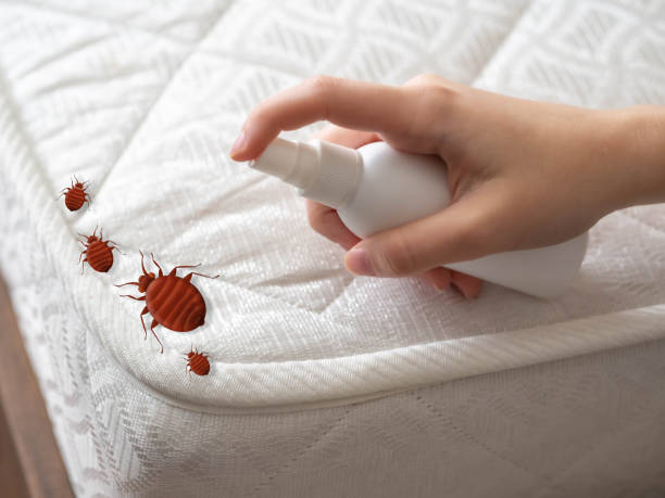 Best Pest Inspection Near Me  in Starke, FL